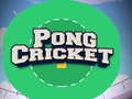 Xogo Pong Cricket en liña