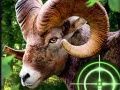 Xogo Cazador de Cabras Louco 2020 en liña