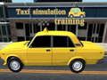 Xogo Adestramento en simulación de taxi en liña
