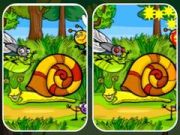 Xogo Diferenzas en Fotografías de Insectos en liña Xogo Diferenzas en Fotografías de Insectos en liña