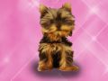 Xogo Lavado de mascotas Princesa Nenos en liña