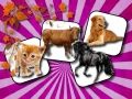 Xogo Desafío de Memoria de Animais de Compañía en liña