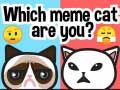 Xogo Que gato meme es ti? en liña