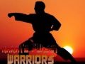 Xogo Karate Guerreiros do Pôr do Sol en liña