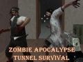 Xogo Sobrevivencia no túnel da apocalipse zombie en liña