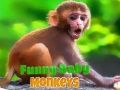 Xogo Macaquíña divertida en liña Xogo Macaquíña divertida en liña