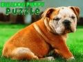 Xogo Puzzle Cachorro Bulldog en liña