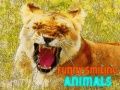 Xogo Animais Divertidos e Sorridentes en liña