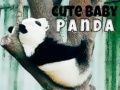 Xogo Pequeno panda bonito en liña