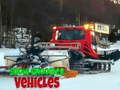 Xogo Vehículos de Preparación de Nieve en liña