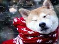 Xogo Puzle de Mascotas de Inverno en liña