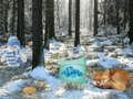 Xogo Aventura na Árbore da Terra Maravillosa de Inverno en liña