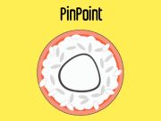 Xogo Pinpoint en liña