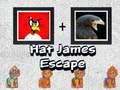 Xogo Escapa de James con Sombrero en liña