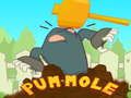 Xogo Pum-Mole en liña