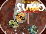 Xogo Rei do Sumo: a batalla definitiva en liña