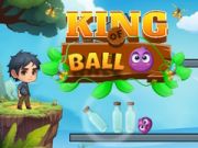 Xogo Rei da Bola en liña