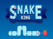 Xogo Snake King en liña