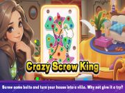 Xogo Crazy Screw King en liña