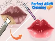 Xogo Limpeza perfecta de ASMR en liña