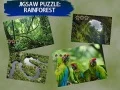 Xogo Rompecabezas Bosque Lluvioso en liña