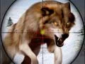 Xogo Caza de animais salvaxes en liña