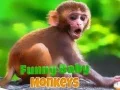 Xogo Macaquíña divertida en liña