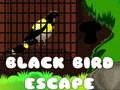 Xogo Fuxida do Pájaro Negro en liña Xogo Fuxida do Pájaro Negro en liña