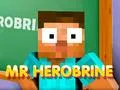 Xogo Sr. Herobrine en liña