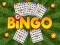 Xogo Bingo en liña