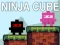 Xogo Cubo Ninja en liña