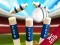 Xogo Mini Cricket: Campionato do Mundo 2019 en liña