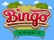 Xogo Bingo Real en liña