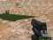 Xogo Xtreme Boas Rapaces vs Rapaces Malos en liña