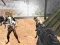 Xogo Combate Golpe Supervivencia Zombi Multixogador en liña
