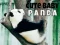 Xogo Pequeno panda bonito en liña