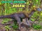 Xogo Quebra-cabeza dos dinosauros máis pequenos en liña