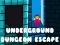 Xogo Escape do Dungeon Subterráneo en liña