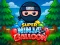 Xogo Super Ninja Balloon en liña