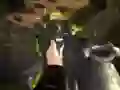 Xogo Forza de Bala en liña