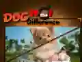 Xogo Can Dog Atopa as Diferencias en liña Xogo Can Dog Atopa as Diferencias en liña