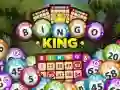 Xogo Rei do Bingo en liña Xogo Rei do Bingo en liña