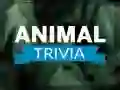 Xogo Trivia de Animais en liña Xogo Trivia de Animais en liña