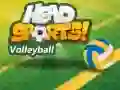 Xogo Voleibol Head Sports en liña Xogo Voleibol Head Sports en liña