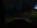 Xogo Condución Horrorífica na Selva en liña Xogo Condución Horrorífica na Selva en liña