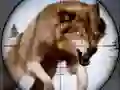 Xogo Caza de animais salvaxes en liña Xogo Caza de animais salvaxes en liña