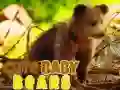 Xogo Osos Bebés Lindos en liña Xogo Osos Bebés Lindos en liña