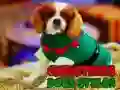 Xogo Estilos de Cans de Nadal en liña