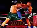 Xogo Loita dos Campións de Boxeo en liña Xogo Loita dos Campións de Boxeo en liña