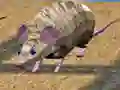 Xogo Carreira de Ratos nas Illas en liña